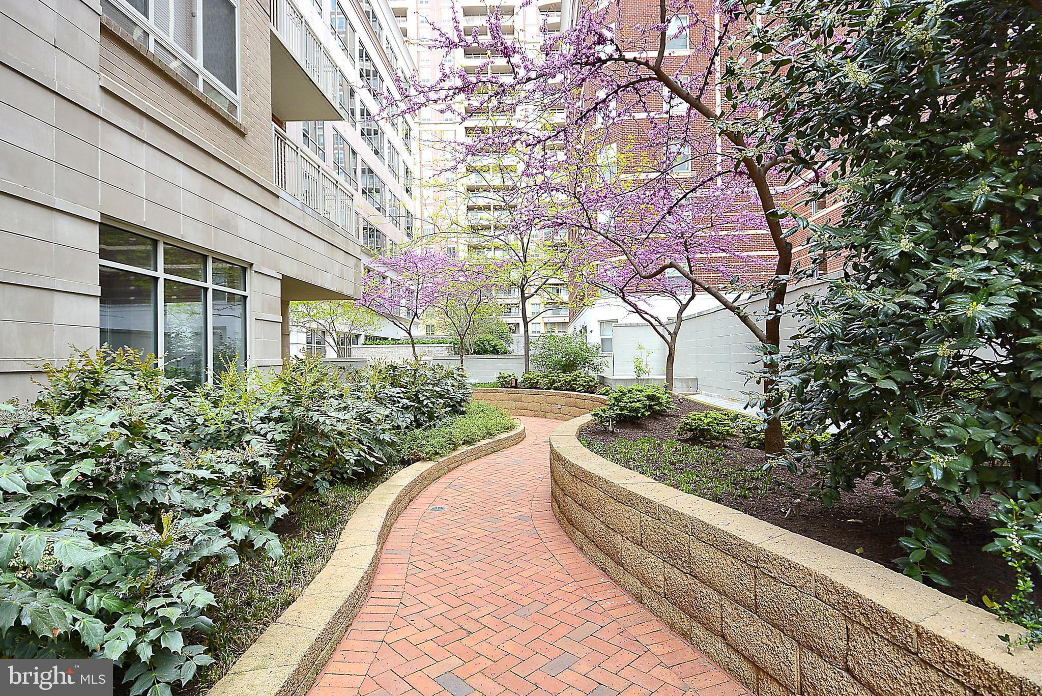 820 N POLLARD ST #203