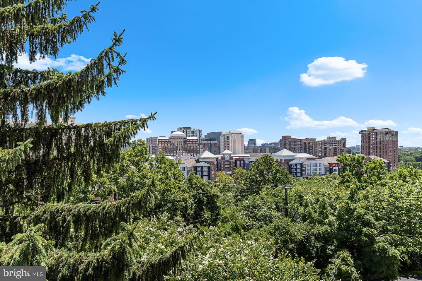 1101 S Arlington Ridge Rd #214