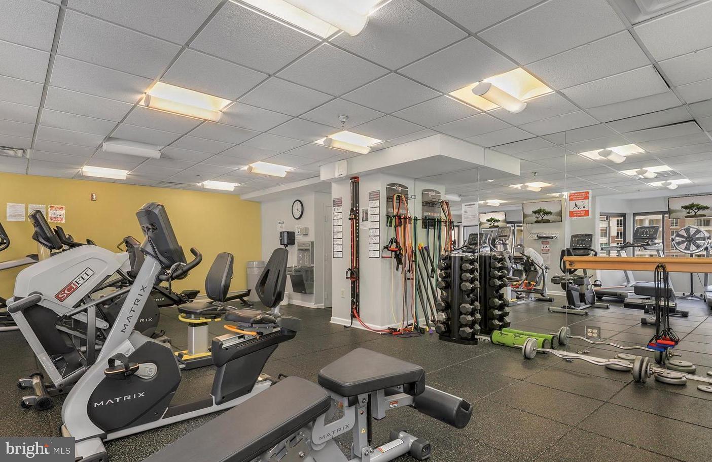 900 N Stafford St #1815