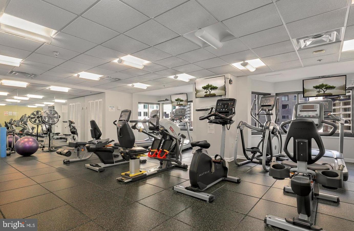 900 N Stafford St #1815