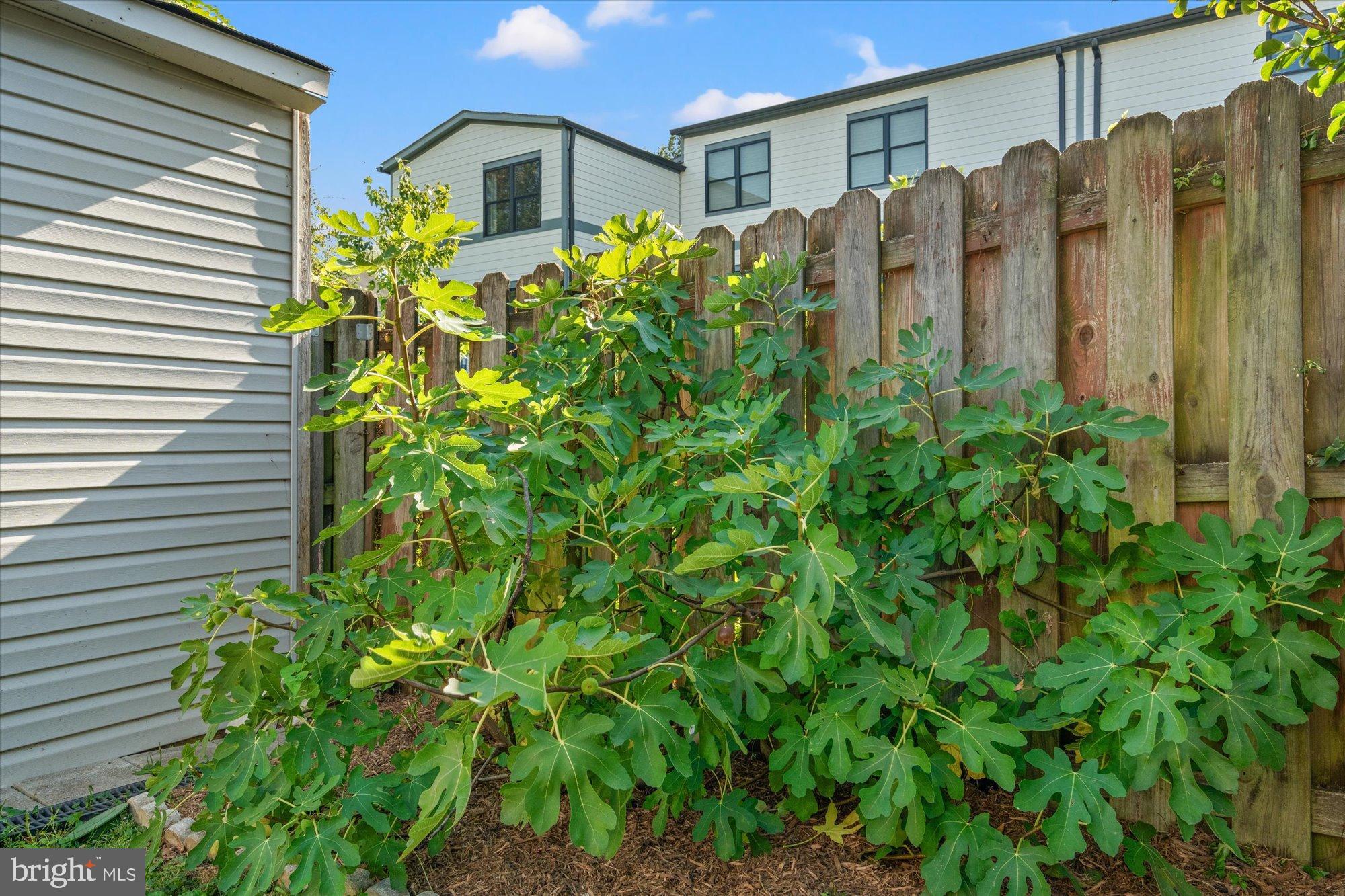 2046 S SHIRLINGTON ROAD