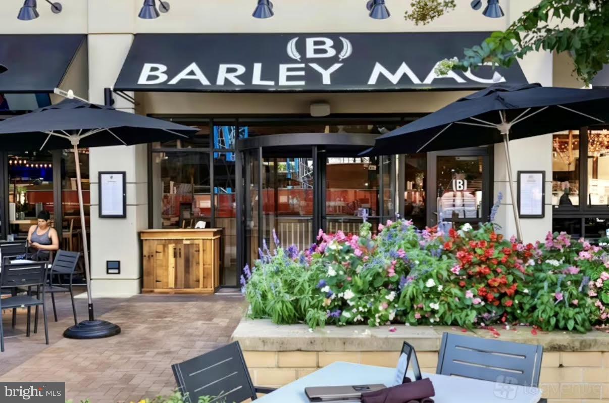 1600 N OAK STREET 1204