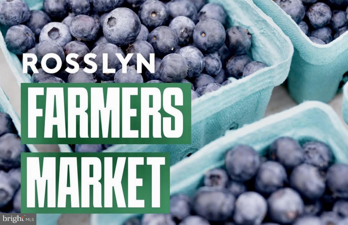 1600 N OAK STREET 1204