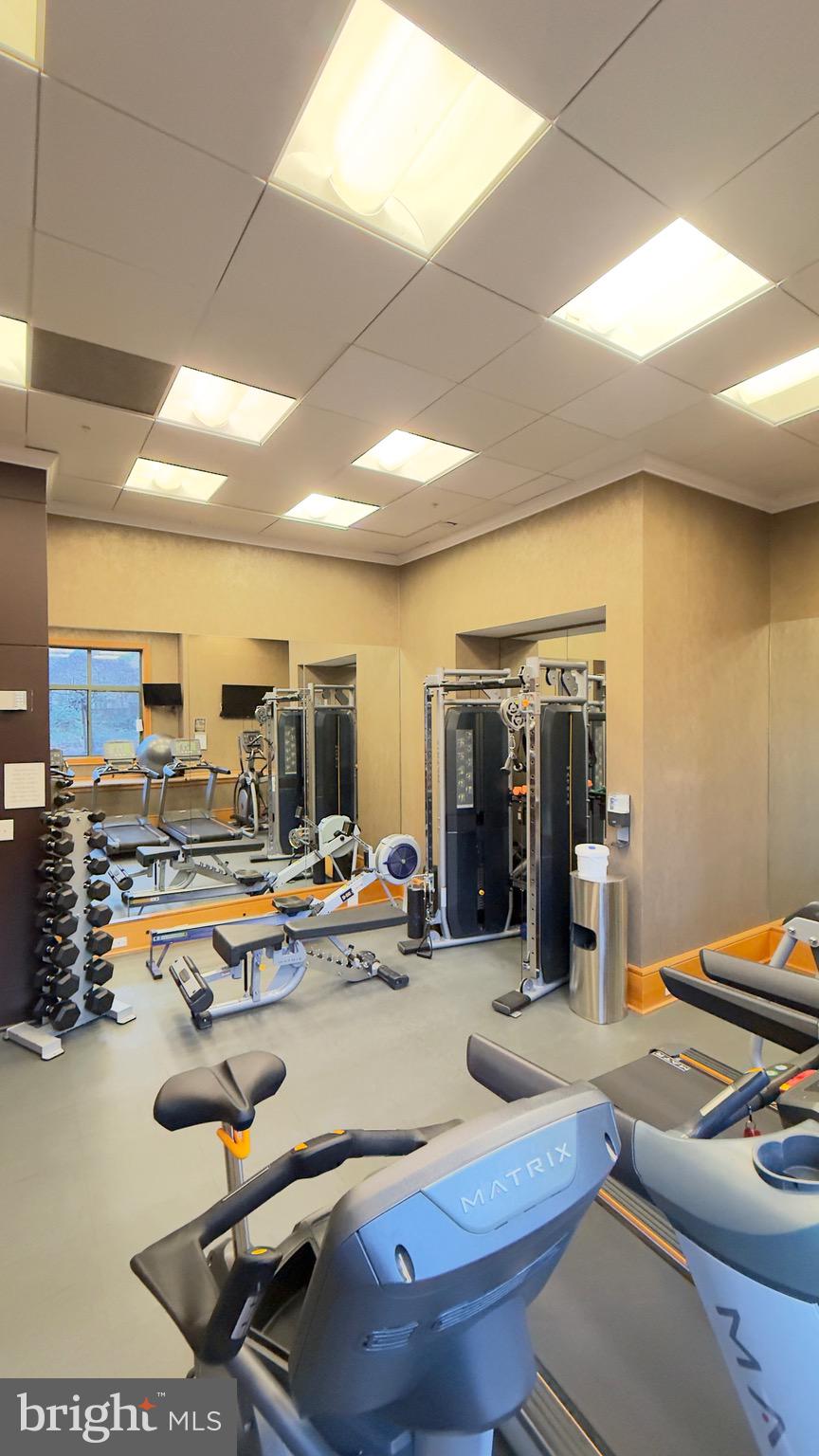 3625 10TH STREET N 703