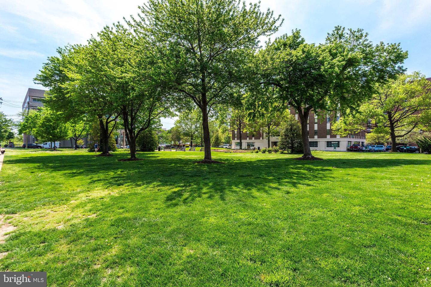 801 N Pitt STREET Unit: 311