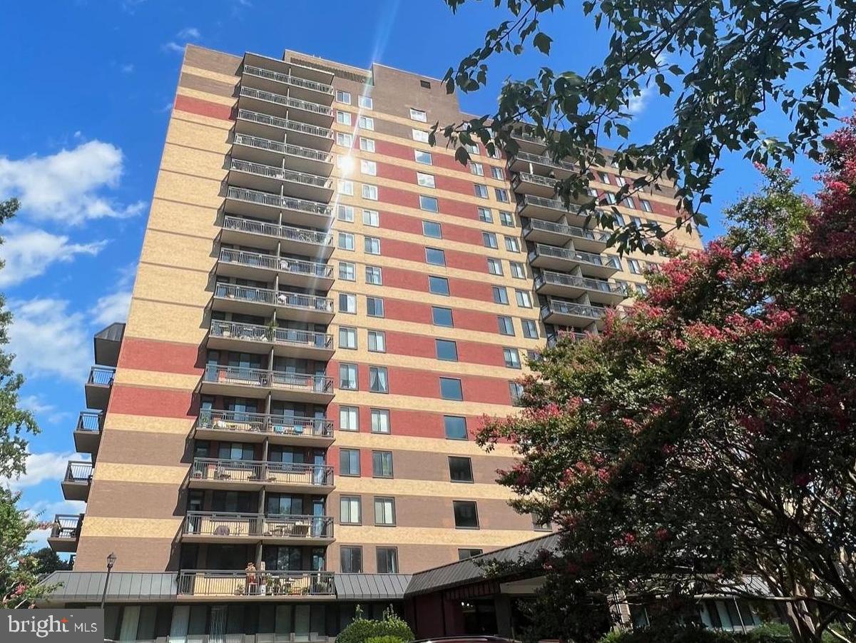801 N Pitt STREET Unit: 603