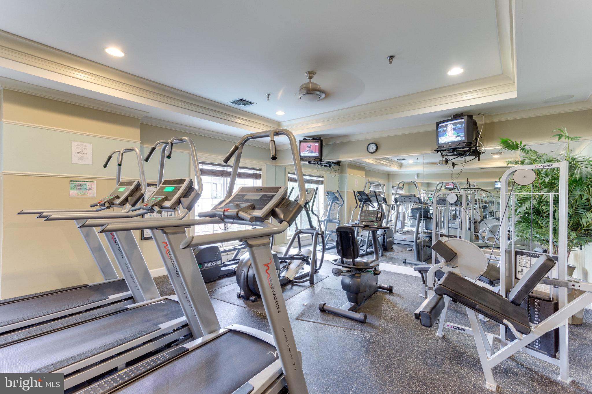 4870 Eisenhower AVENUE Unit: 205