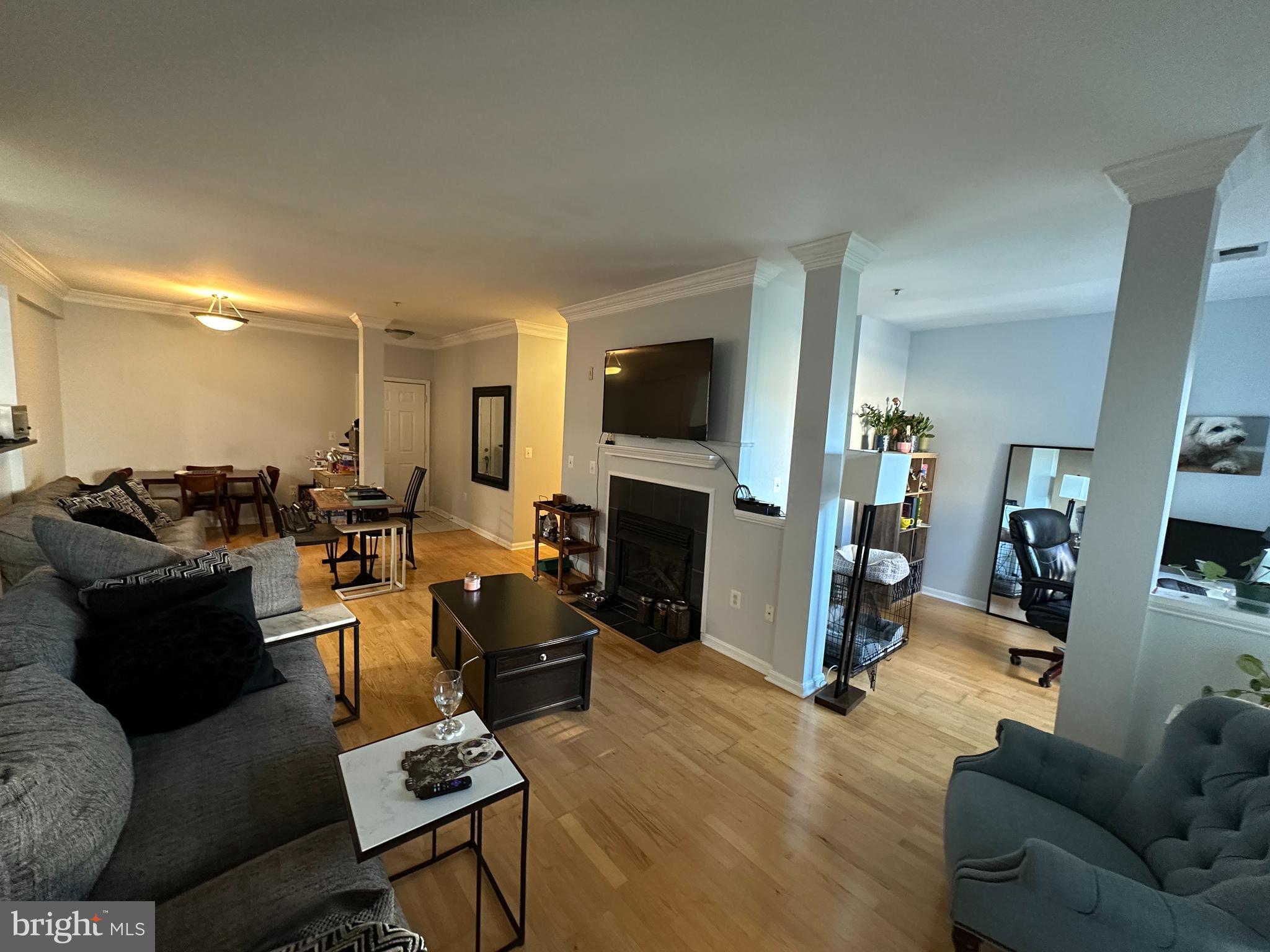 4854 EISENHOWER AVE #445