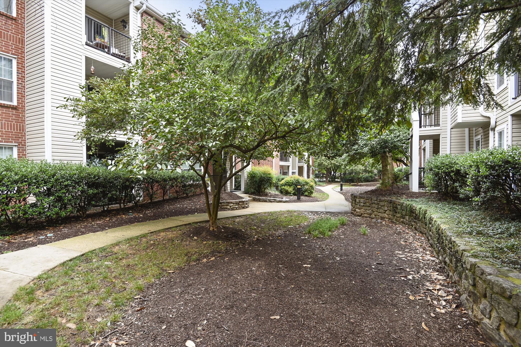 3309 WYNDHAM CIR #3182