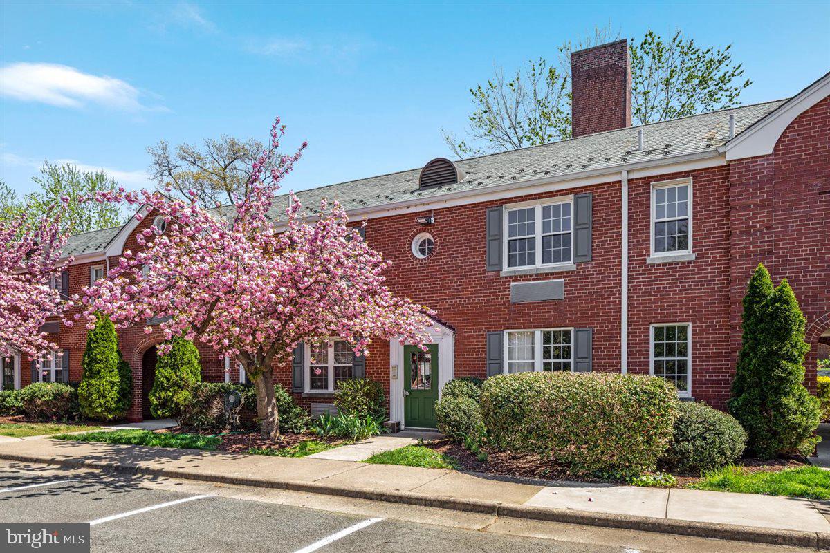 3307 Commonwealth Ave #C
