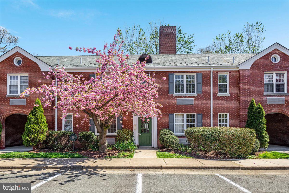 3307 Commonwealth Ave #C