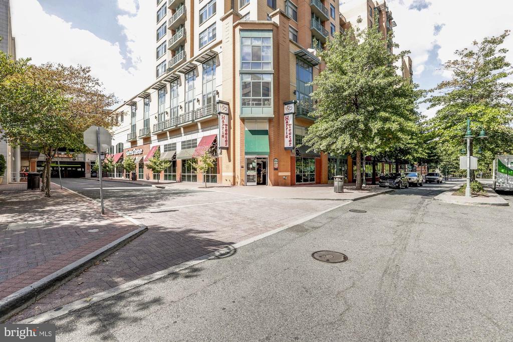 3307 Commonwealth Ave #C