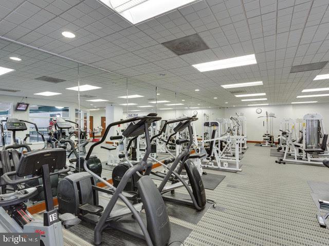 307 YOAKUM PKWY #1220