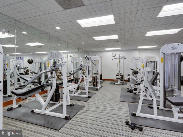 307 YOAKUM PKWY #1220