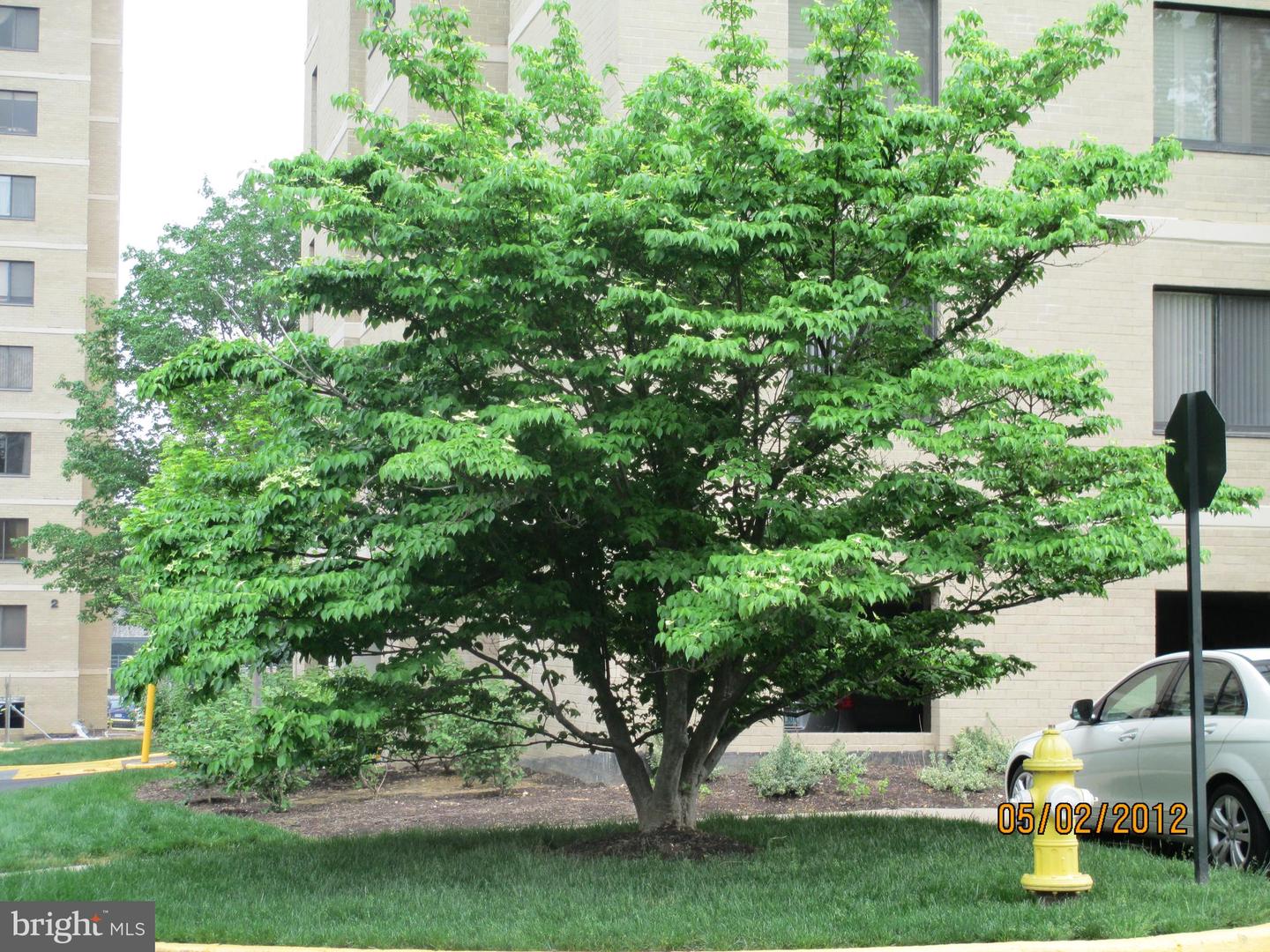 309 YOAKUM PKWY #905