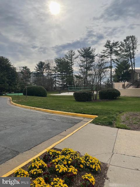 309 YOAKUM PKWY #905