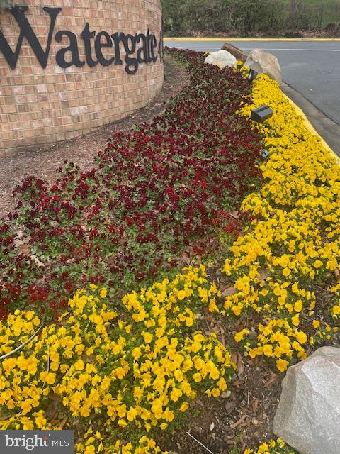 309 YOAKUM PKWY #905