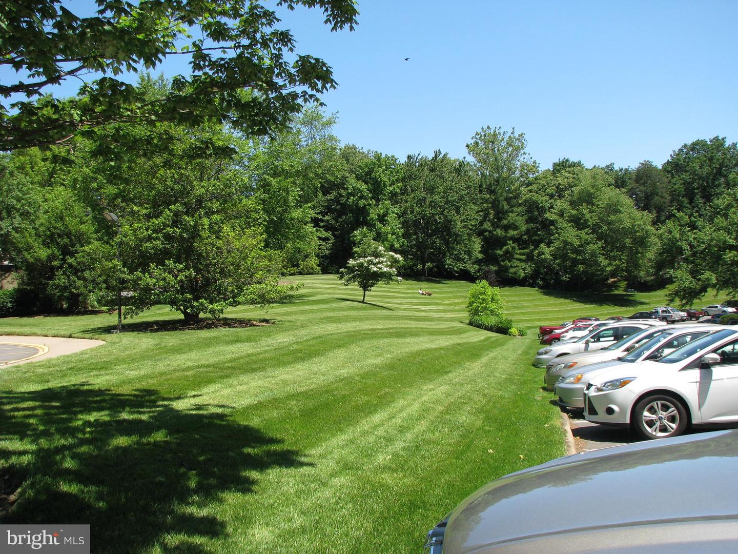 309 YOAKUM PKWY #905