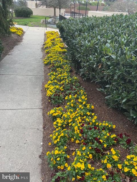 309 YOAKUM PKWY #905