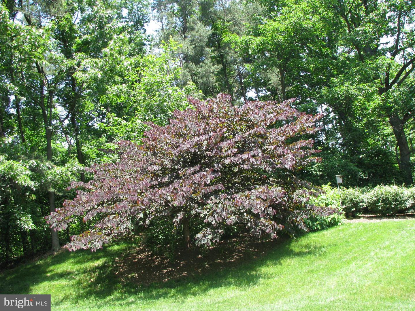 309 YOAKUM PKWY #905