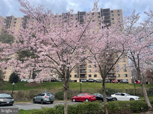 309 YOAKUM PKWY #905