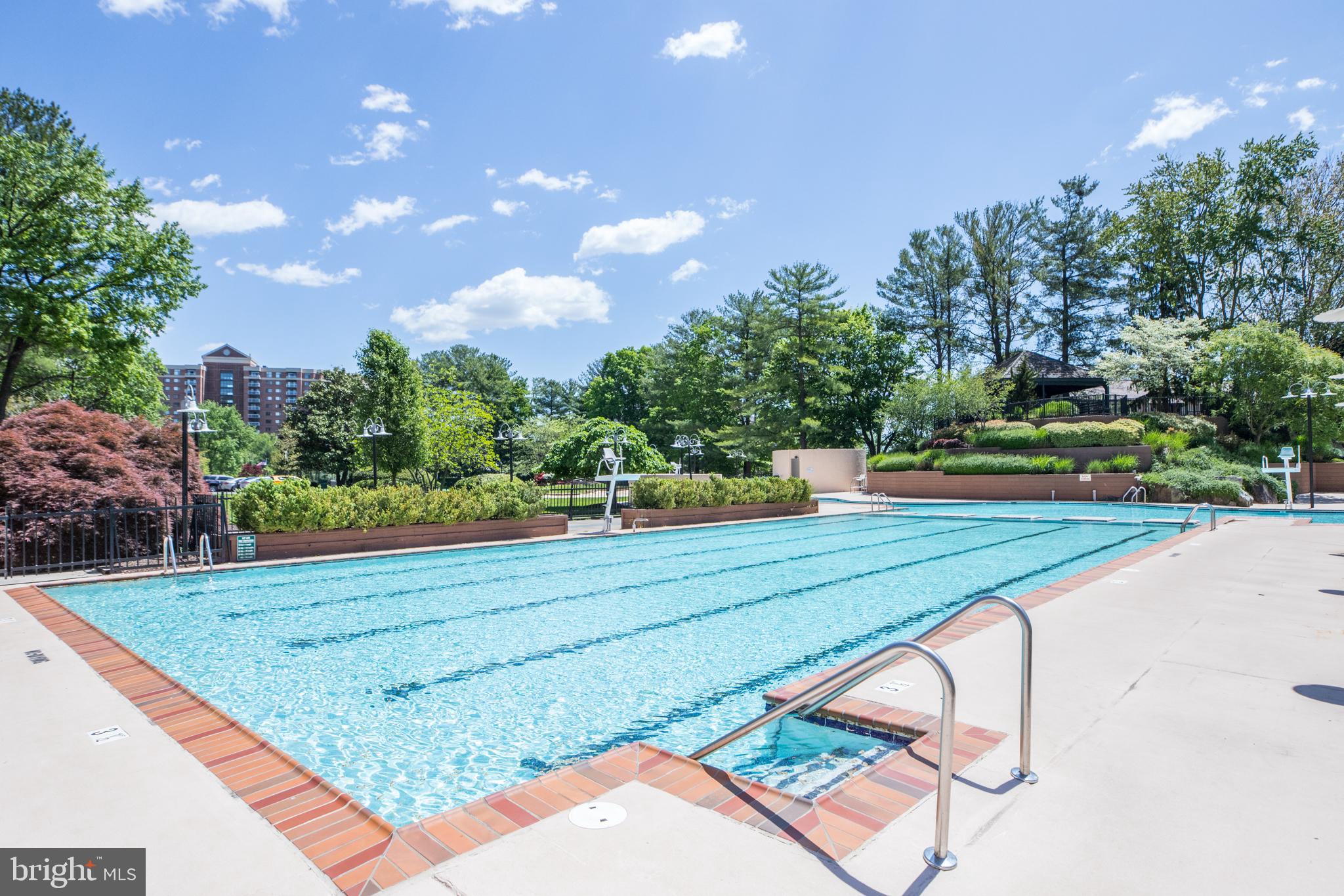 307 YOAKUM PKWY #519