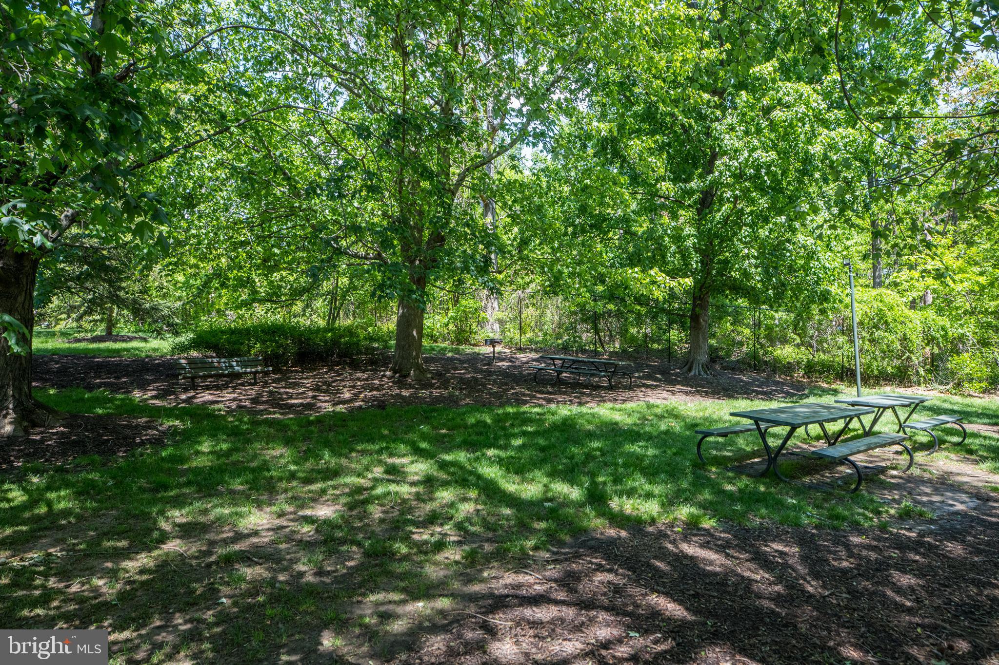 307 YOAKUM PKWY #519