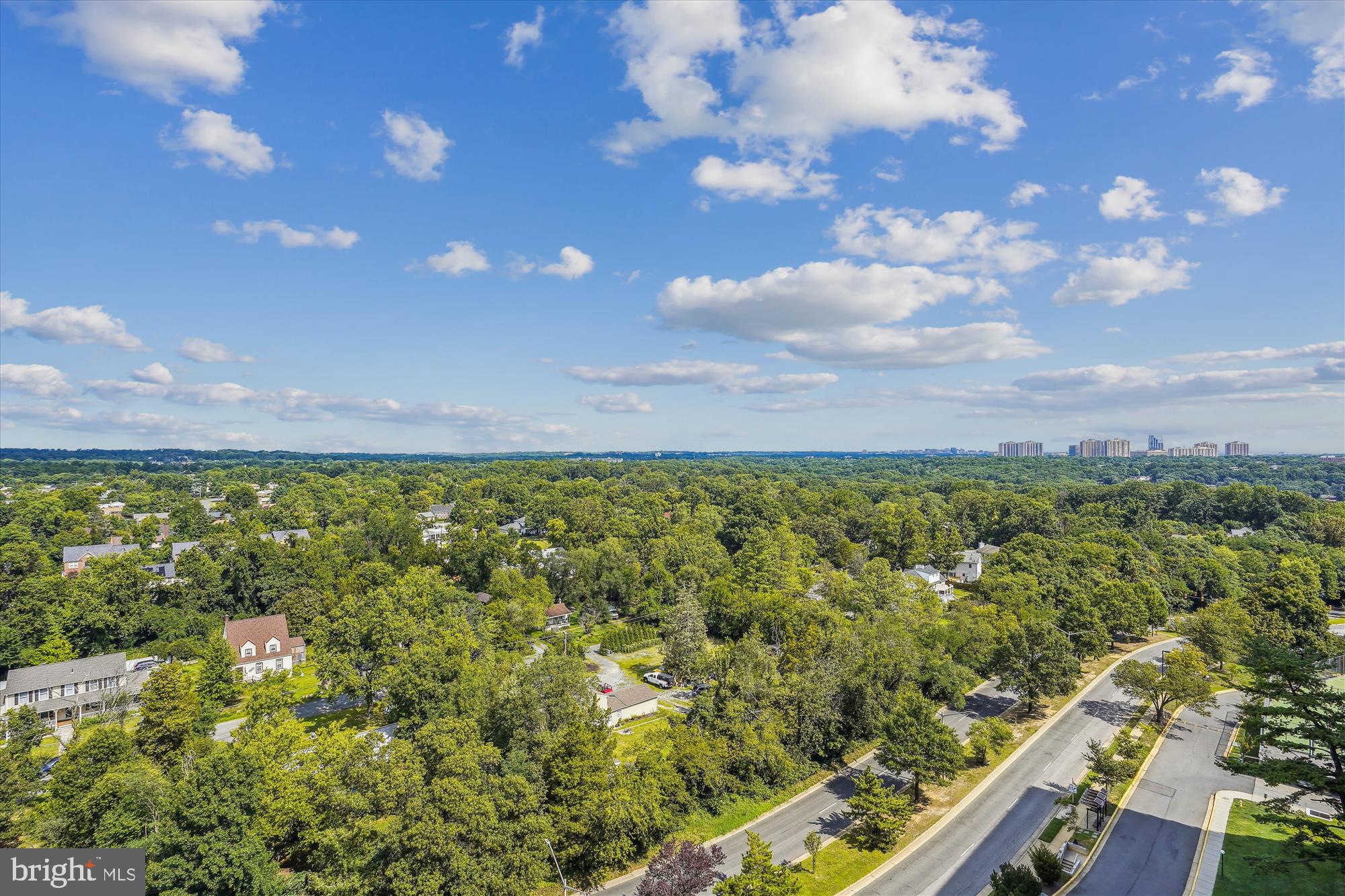 301 N Beauregard St #1507