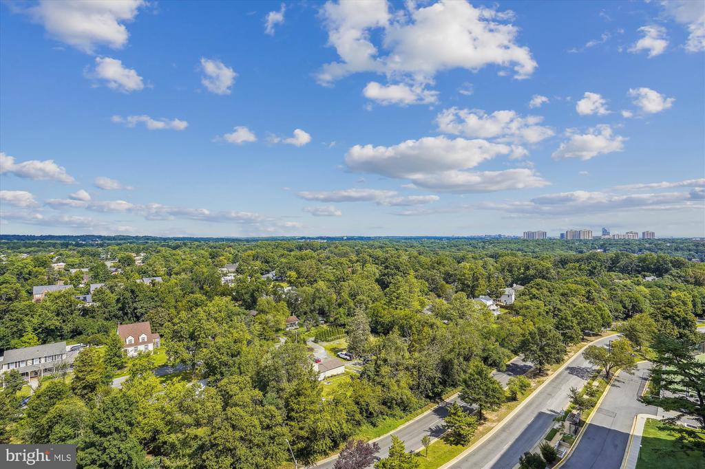 301 N Beauregard St #1507