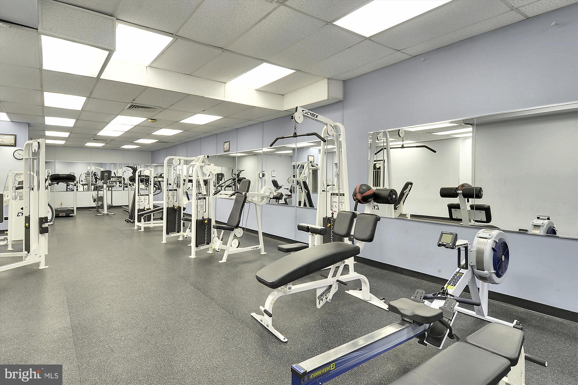 301 N Beauregard St #1507