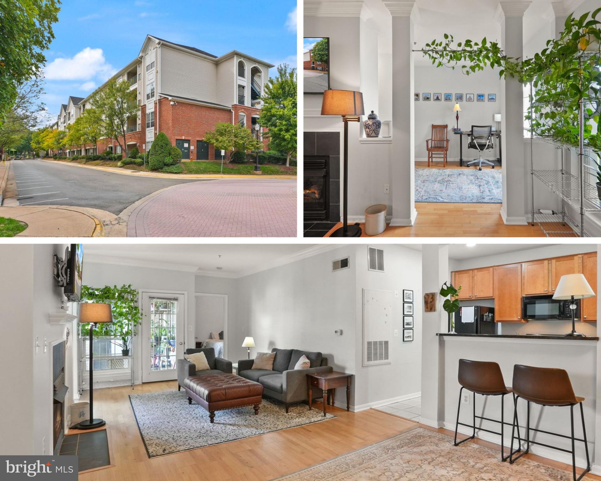 4854 EISENHOWER AVENUE 445