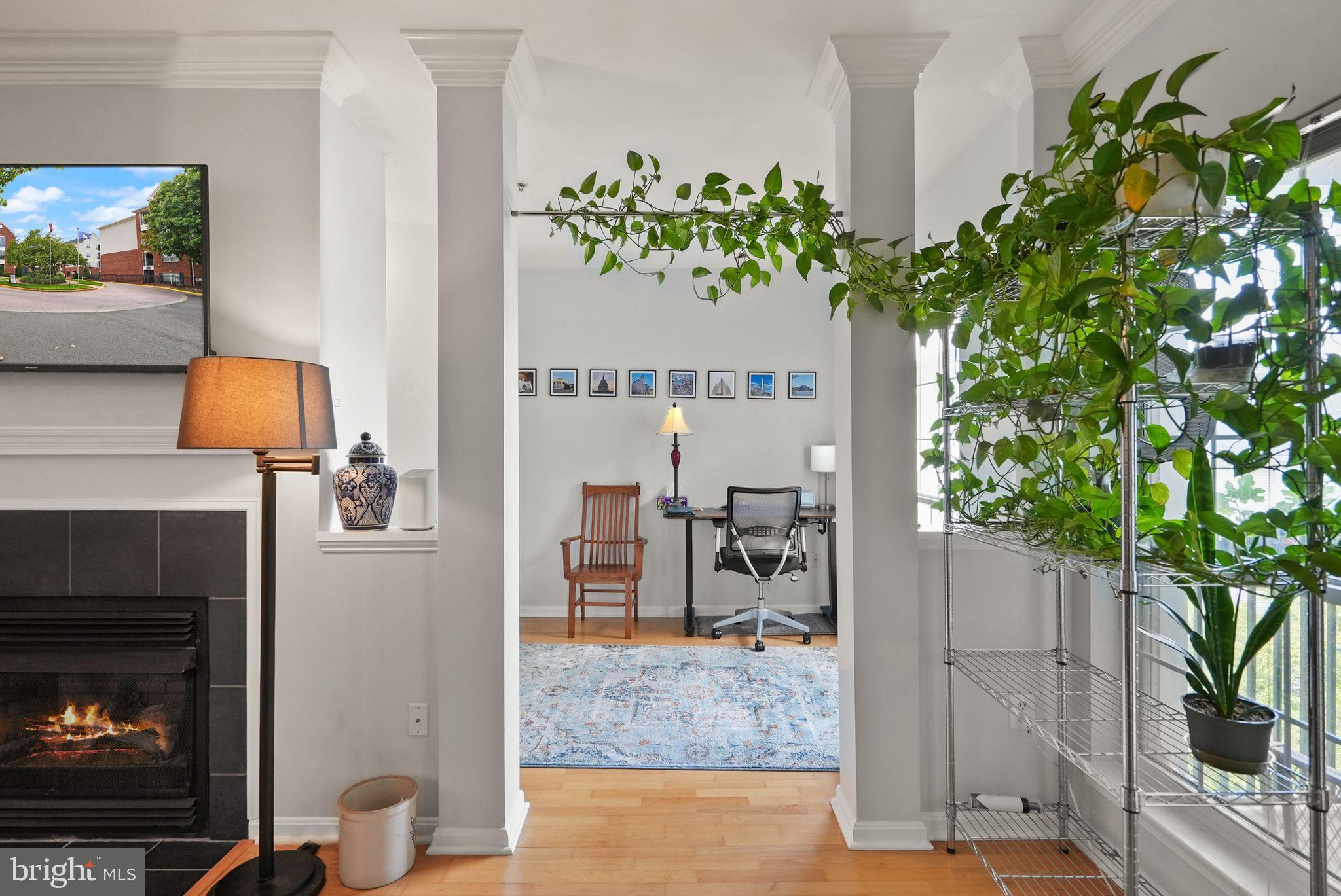 4854 EISENHOWER AVENUE 445