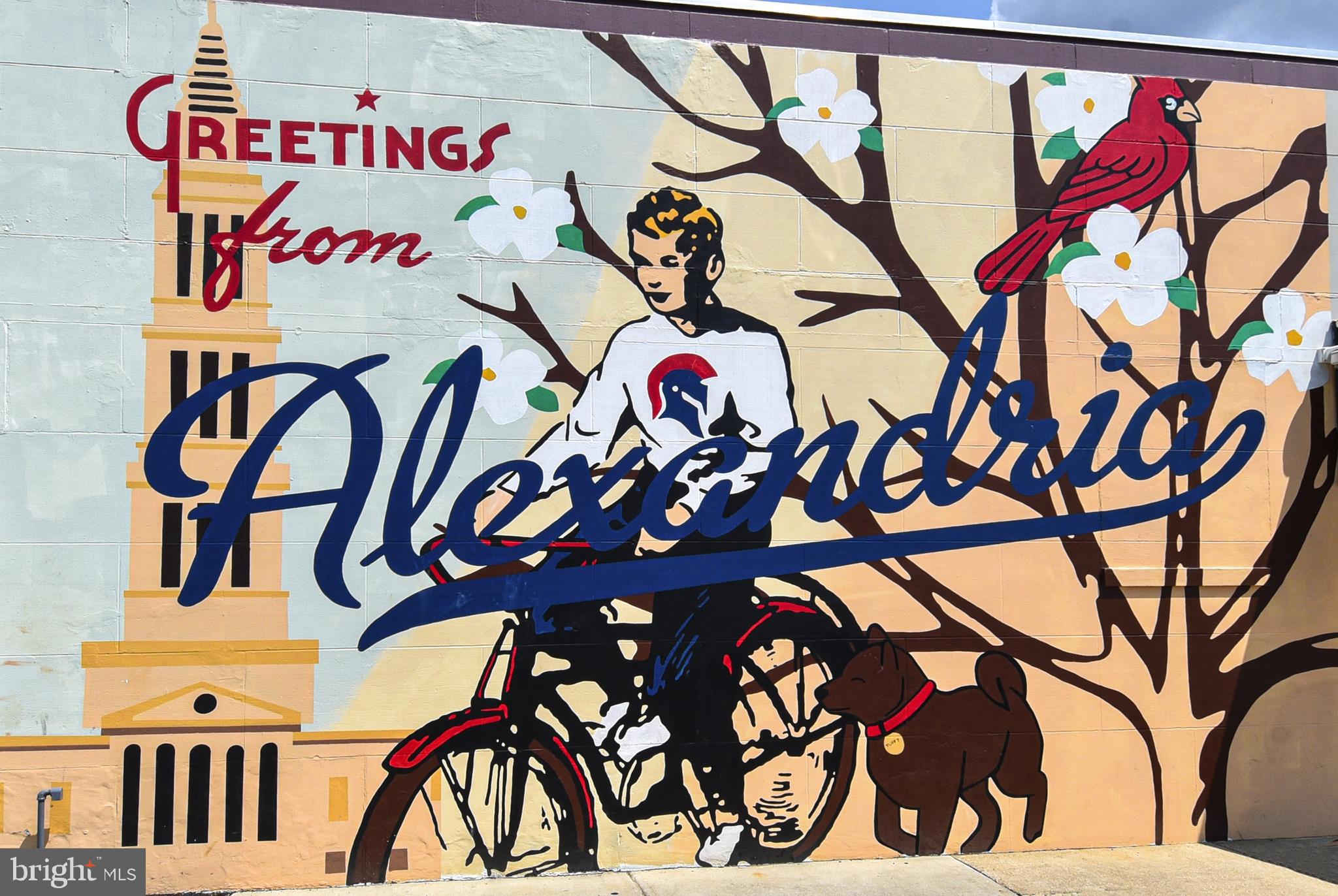 3315 WYNDHAM CIRCLE 1223