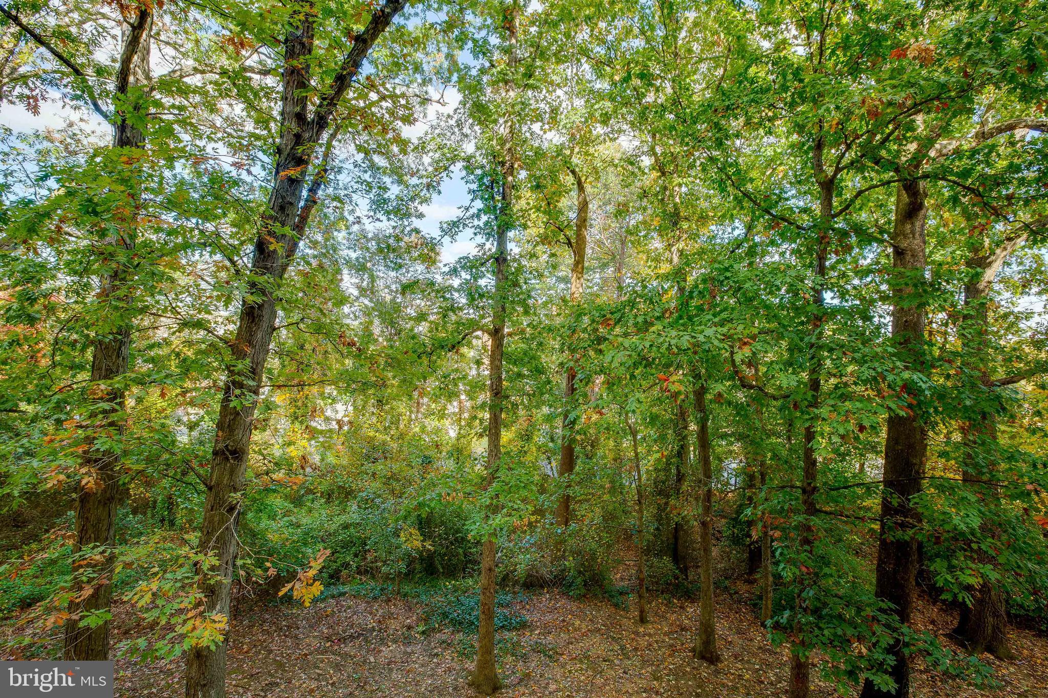 8 S VAN DORN STREET 303