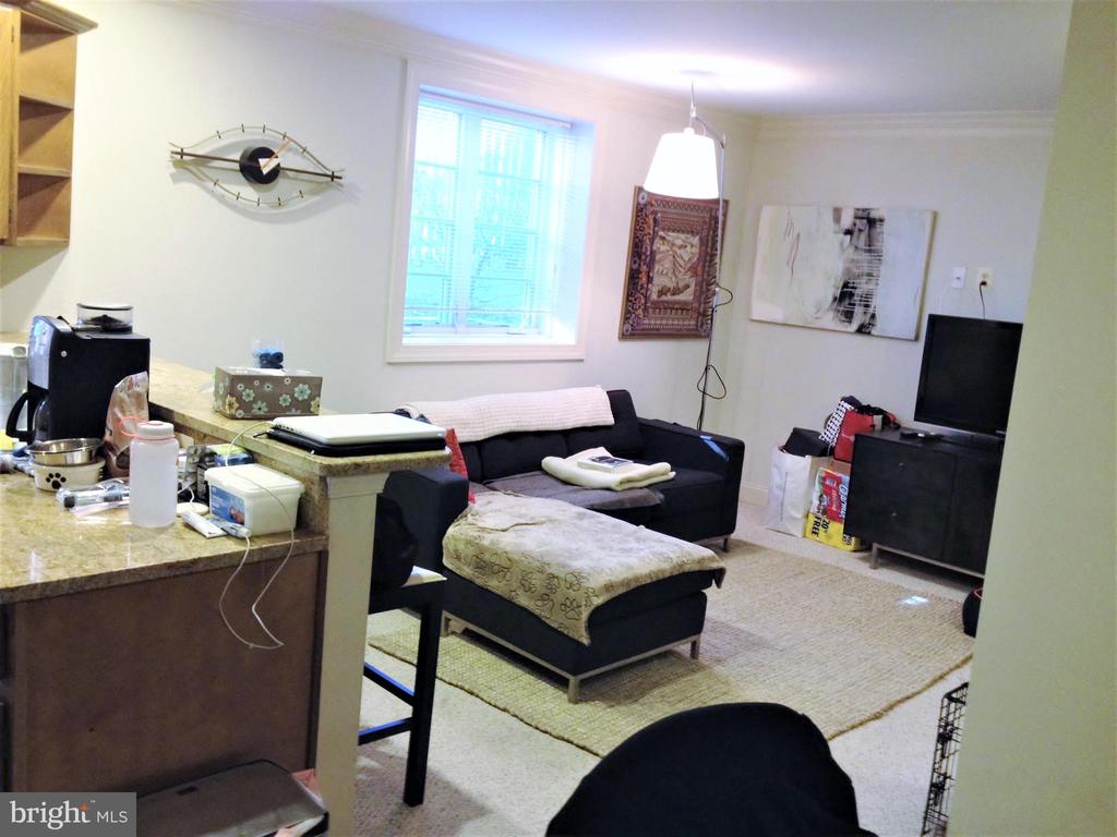 1219 ORONOCO STREET Unit: 103