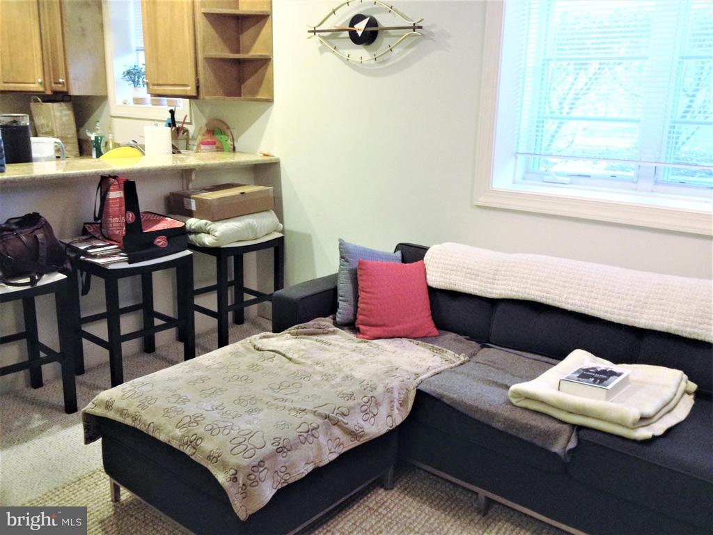 1219 ORONOCO STREET Unit: 103