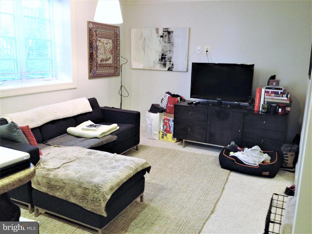 1219 ORONOCO STREET Unit: 103