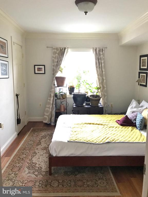 1219 ORONOCO STREET Unit: 203