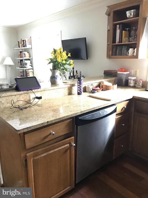 1219 ORONOCO STREET Unit: 203