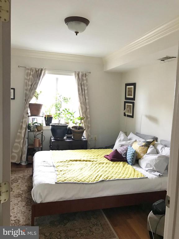 1219 ORONOCO STREET Unit: 203