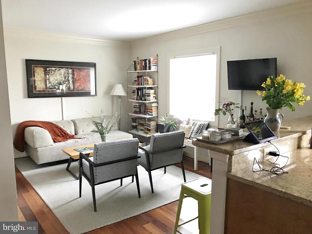 1219 ORONOCO STREET Unit: 203