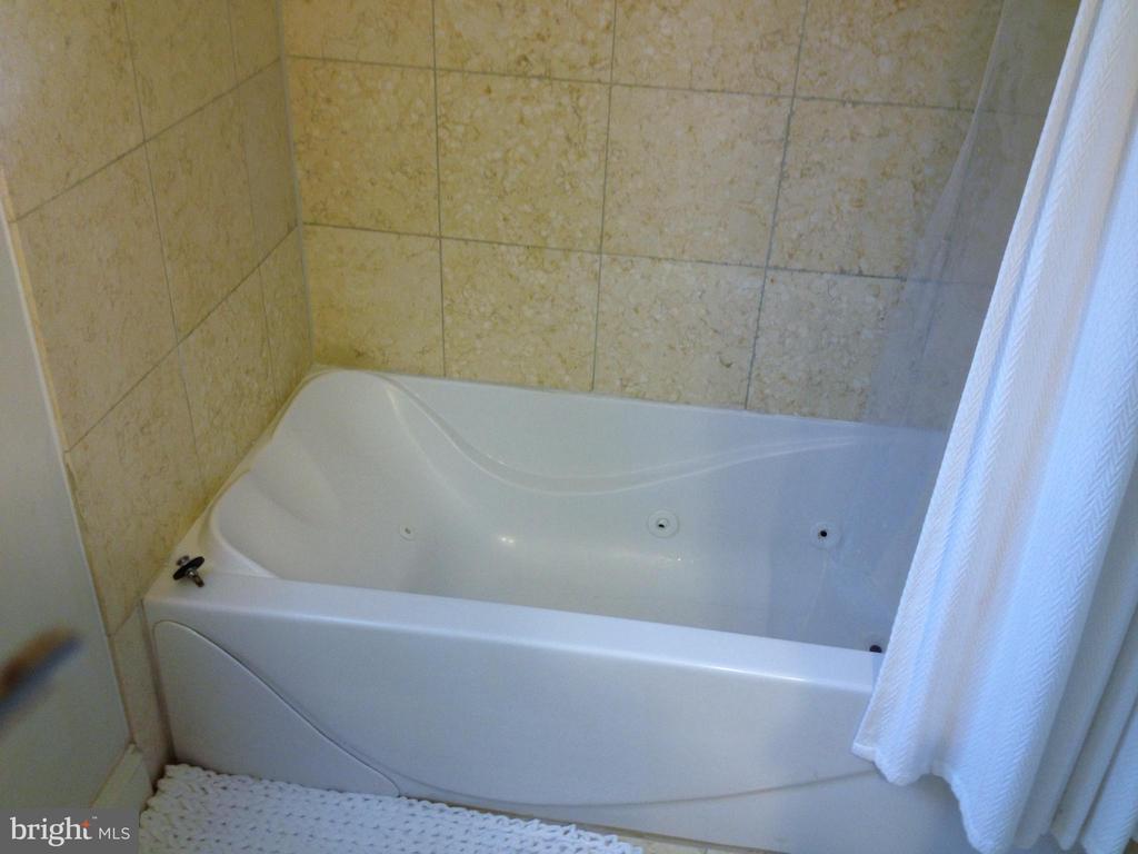 1219 ORONOCO STREET Unit: 203