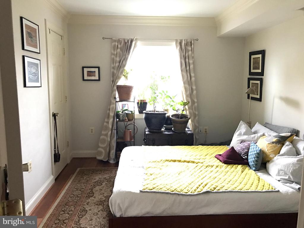 1219 ORONOCO STREET Unit: 203