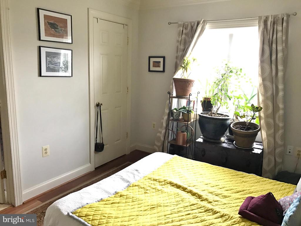 1219 ORONOCO STREET Unit: 203
