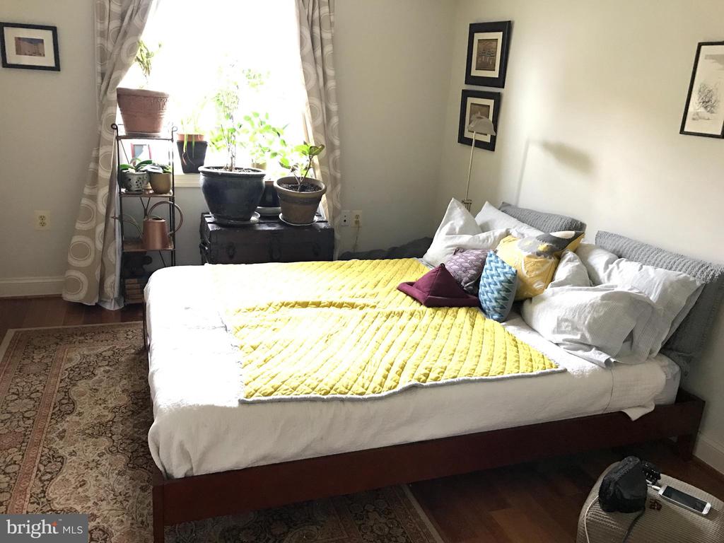 1219 ORONOCO STREET Unit: 203