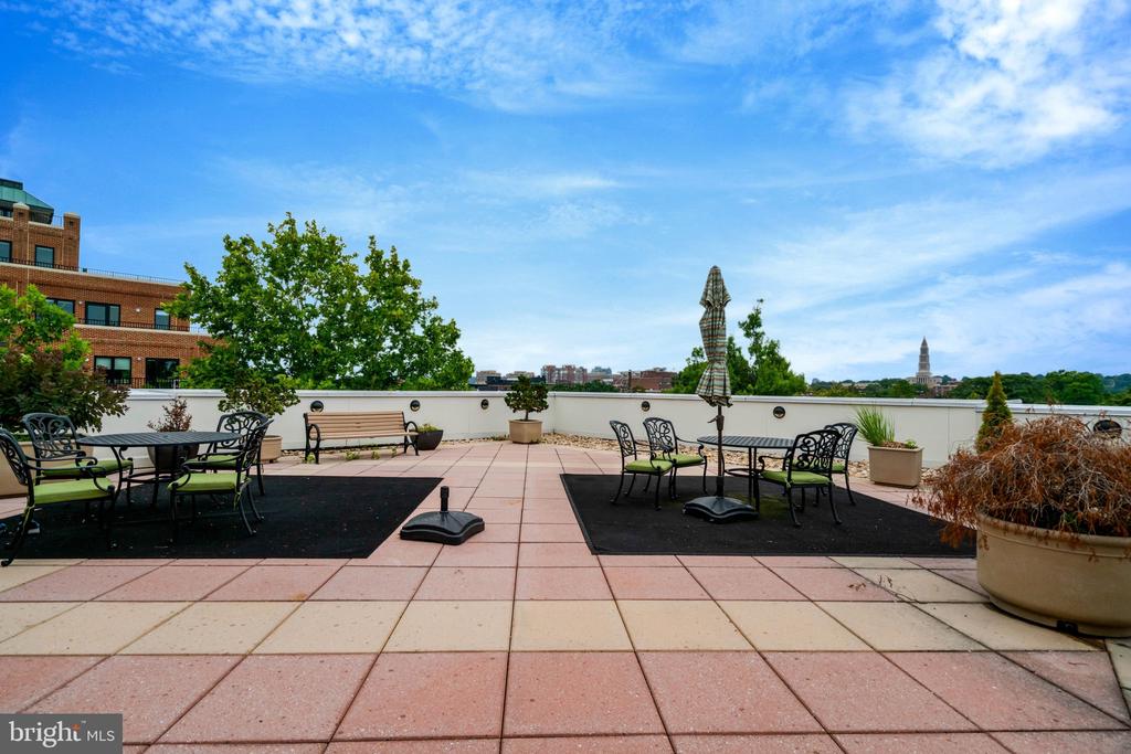 1115 CAMERON STREET Unit: 117
