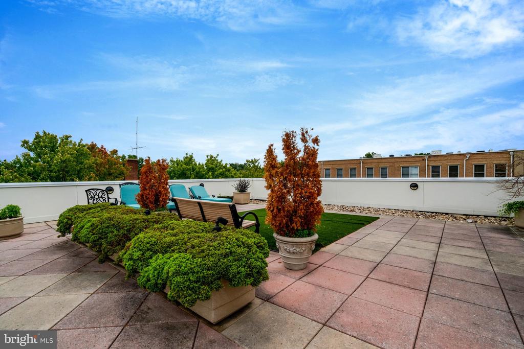 1115 CAMERON STREET Unit: 117