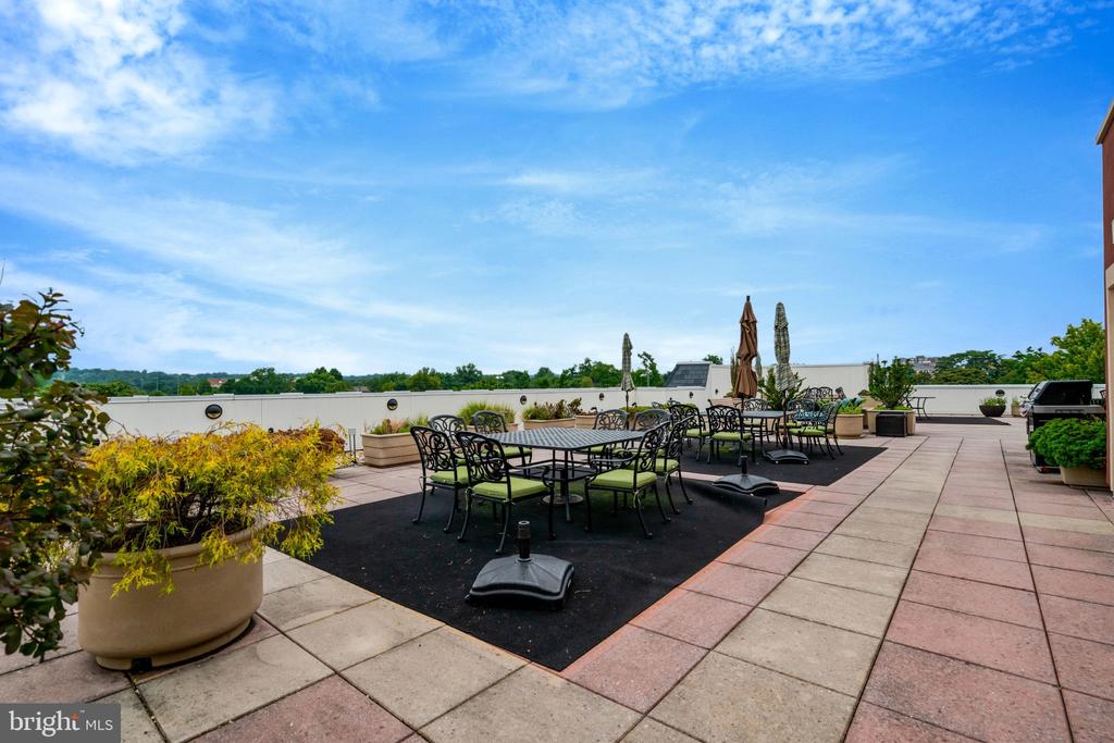 1115 CAMERON STREET Unit: 117