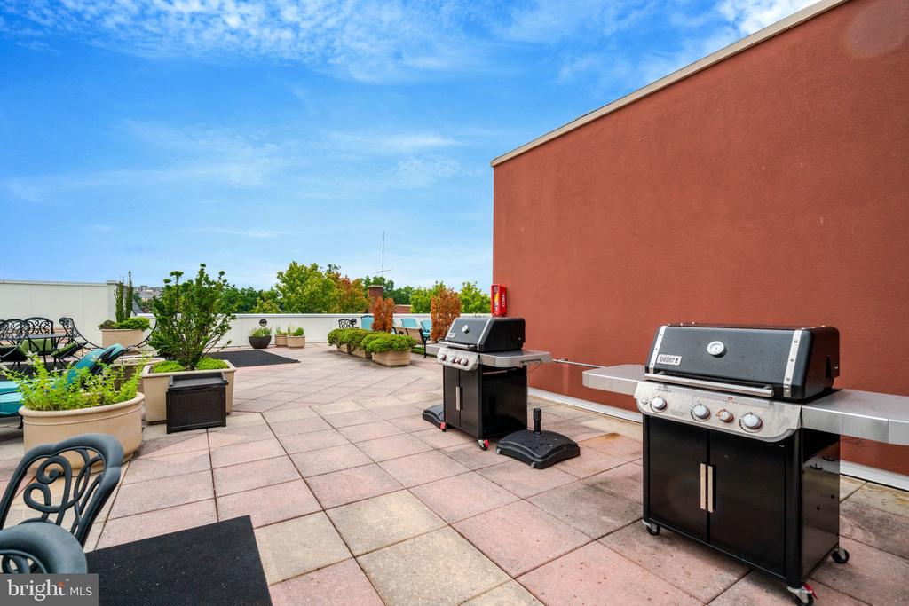1115 CAMERON STREET Unit: 117