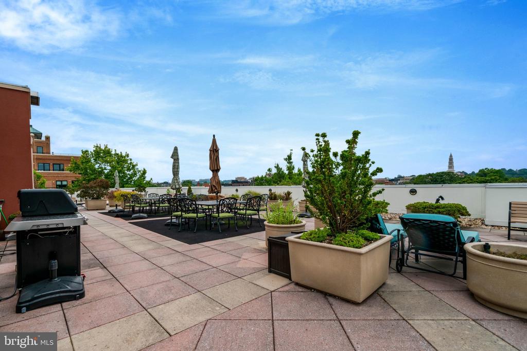 1115 CAMERON STREET Unit: 117